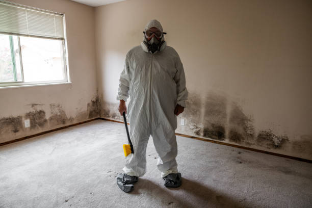 Best Industrial Mold Remediation in Dakota Ridge, CO